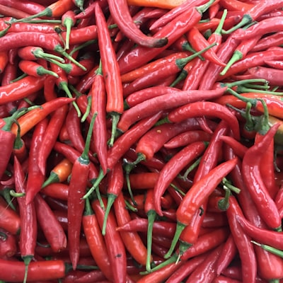 Scotch Bonnet Peppers