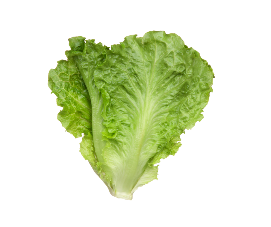 Lettuce pack