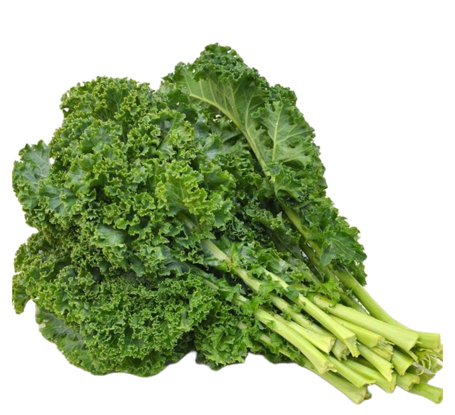Kale Curly