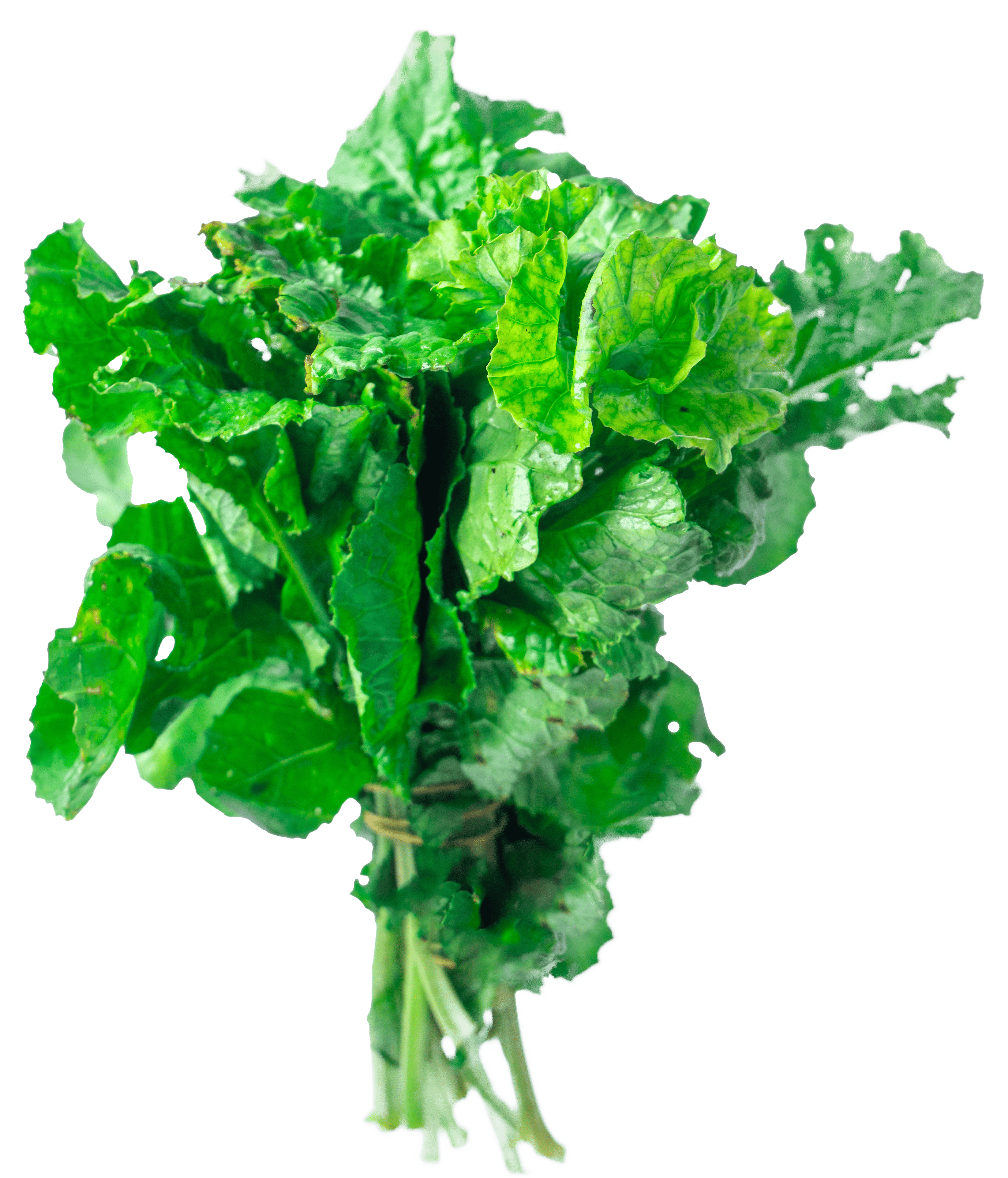 Collard greens
