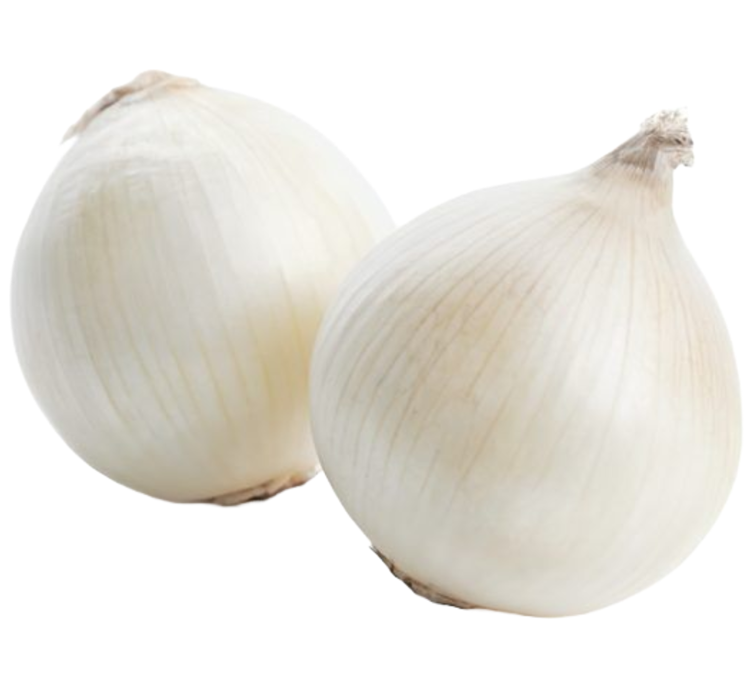 Onion White