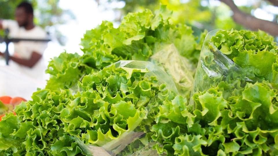 Lettuce
