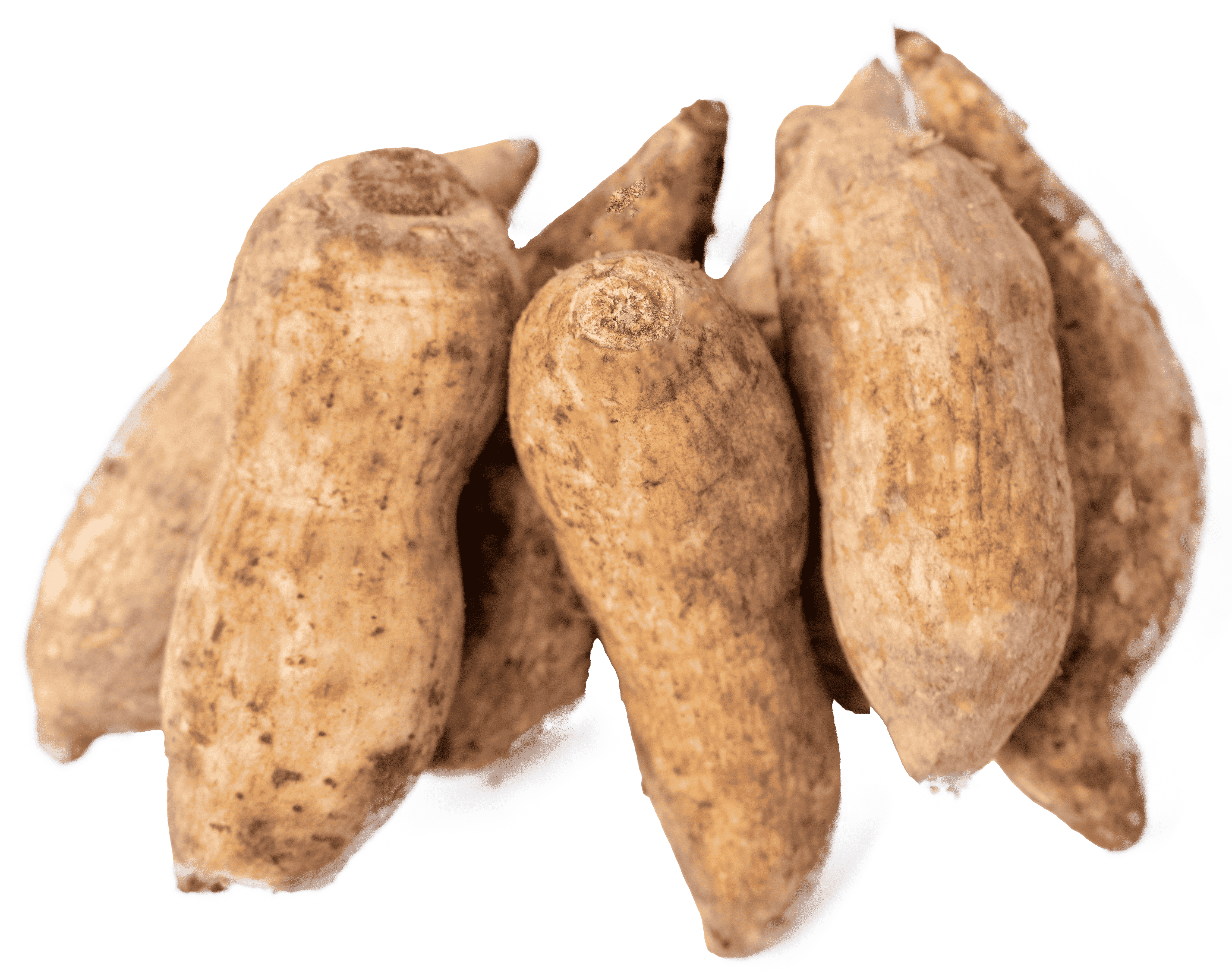 Sweet Potatoes (White)